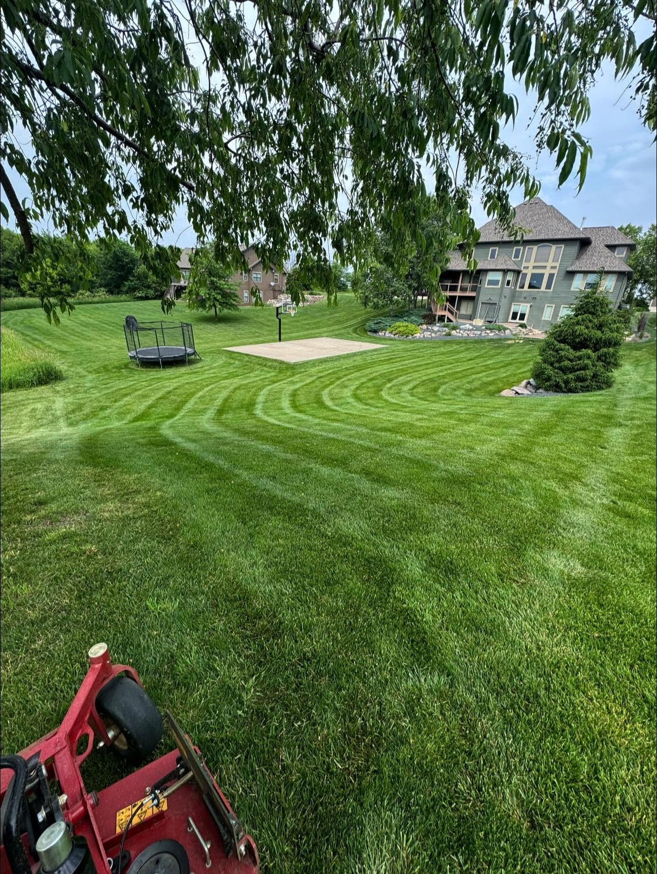 Close view of lawn stripes