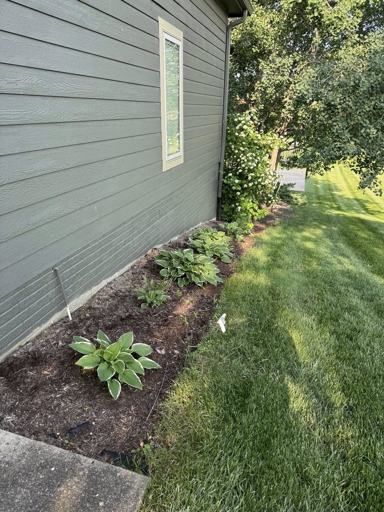Spring Cleanups by Clear Cut Lawn & Landscape